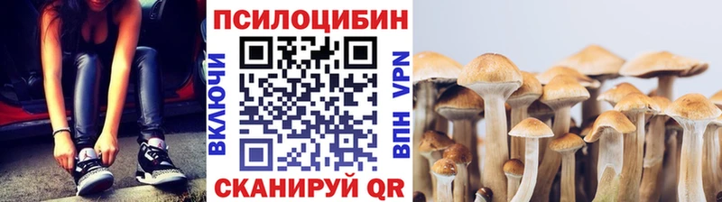 дарнет шоп  Знаменск  Галлюциногенные грибы мухоморы 